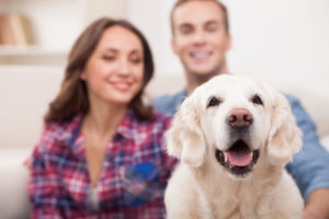 Boyfriend And Girlfriend With Puppy