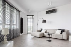 Apartment With Ductless Mini Split